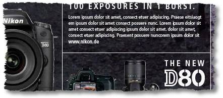 nikond80