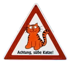 katze